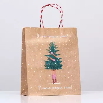 Пакет подарочный "У кого сегодня ёлка?" 26 х 32 х 12 см