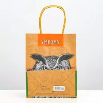 Пакет подарочный "Умному" 18 х 22,3 х 10 см