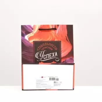 Пакет подарочный "Успеха и удачи", 18 х 22,3 х 10 см