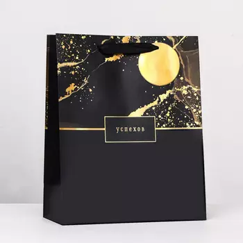 Пакет подарочный "Успехов", 26 х 32 х 12 см