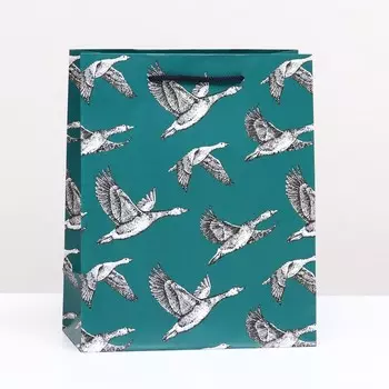 Пакет подарочный "Утки" 18 х 22,3 х 10 см