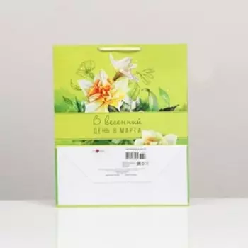 Пакет подарочный "В весенний день 8 Марта", 26 х 32 х 12 см