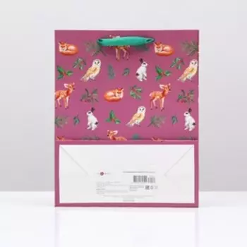 Пакет подарочный "Вдохновение", 26 х 32 х 12 см.