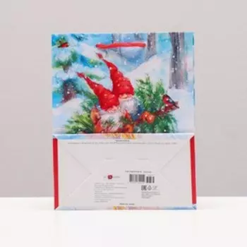 Пакет подарочный "Весёлые гномы", 18 х 22,3 х 10 см