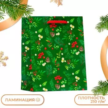 Пакет подарочный "Веточки", 11,5 х 14,5 х 6,5 см.