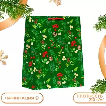 Пакет подарочный новогодний ламинированный «Веточки», 263212 см