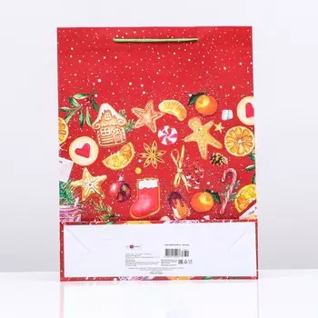 Пакет подарочный «Волшебный момент», 3342.510 см