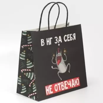 Пакет подарочный новогодний «Вообще не отвечаю», 22 х 22 х 11 см