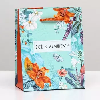Пакет подарочный "Все к лучшему" 11,5 х 14,5 х 6,5 см