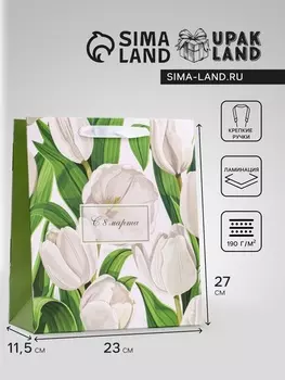 Пакет подарочный вертикальный «Белый вайб», ML 232711.5 см