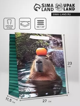 Пакет подарочный вертикальный «Капибара», 232711.5 см