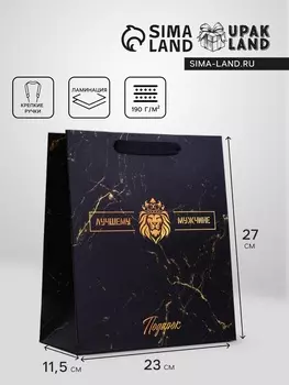 Пакет подарочный вертикальный «Лучшему мужчине», ML 232711.5 см