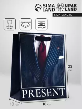Пакет подарочный вертикальный «Мужской», 182310 см
