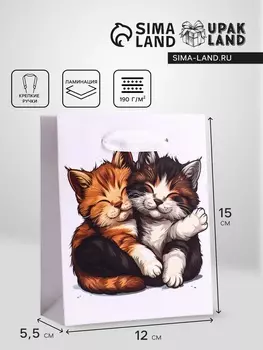 Пакет подарочный вертикальный «Обнимашки», S 12155.5 см