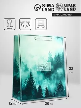 Пакет подарочный вертикальный «Подарок», 263212 см