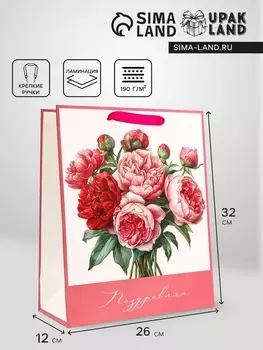 Пакет подарочный вертикальный «Поздравляю», 263212 см