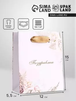 Пакет подарочный вертикальный «Поздравляю», S 12155.5 см