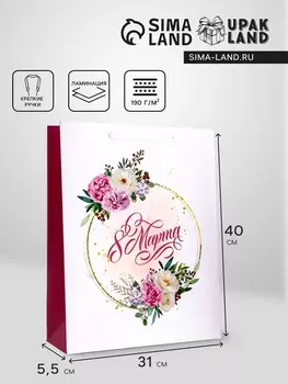 Пакет подарочный вертикальный «Праздничный день», L 314012 см