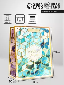 Пакет подарочный вертикальный PRESENT, 182310 см