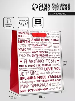 Пакет подарочный вертикальный «Признания в любви», 182310 см