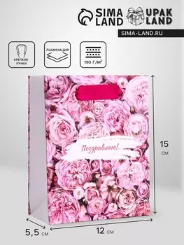 Пакет подарочный вертикальный «Счастливый день», S 12155.5 см