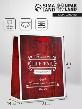 Пакет подарочный вертикальный «Только вперёд», 182310 см