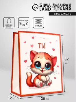 Пакет подарочный вертикальный «ТЫ», 263212 см