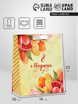 Пакет подарочный вертикальный «Яркий момент», MS 182310 см