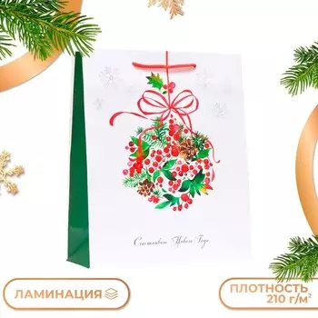 Пакет подарочный «Ягоды», 263212 см