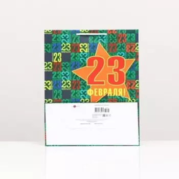 Пакет подарочный "Защитнику на 23 февраля", 26 х 32 х 12 см