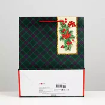 Пакет подарочный "Зелёная клеточка", 26 х 32 х 12 см