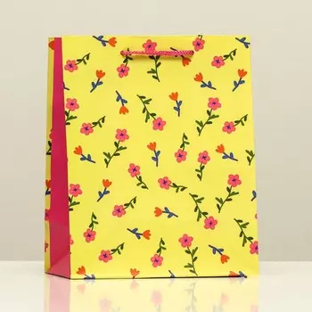 Пакет подарочный "Желание", 18 х 22,3 х 10 см