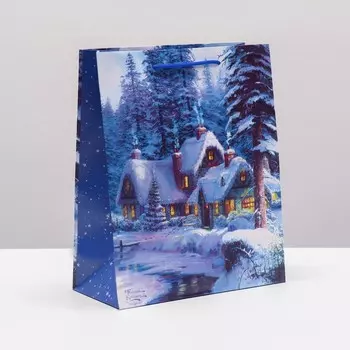 Пакет подарочный "Зимний вечер", 26 х 32 х 12 см