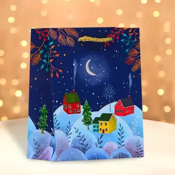 Пакет подарочный «Зимняя ночь», 11.514.56.5 см