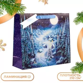 Пакет подарочный новогодний ламинированный «Зимняя ночь», люкс, 363212 см
