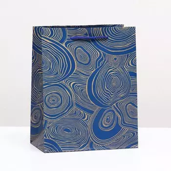 Пакет подарочный "Золотой принт" 18 х 22,3 х 10 см