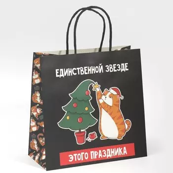 Пакет подарочный «Звезда», 22 22 11 см