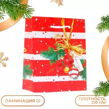 Пакет подарочный «Звёздочки», 11.514.56.5 см