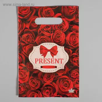 Пакет "Презент", полиэтиленовый с вырубной ручкой, 30 мкм 20 х 30 см