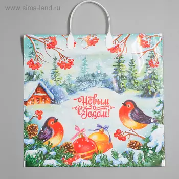 Пакет новогодний «Птичья трель», полиэтиленовый с пластиковой ручкой, 3734 см