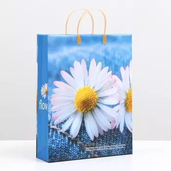 Пакет "Ромашка на голубом", мягкий пластик, 41 x 32 см, 120 мкм