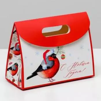 Пакет с клапаном «Снегирь», 23 х 18 х10 см.