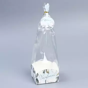 Пакет с коробкой «Расцветай», 9 × 9 × 35 см