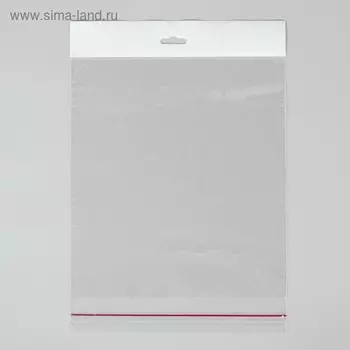 Пакет с липкой лентой 20 х 25/4 см, 25 мкм, еврослот