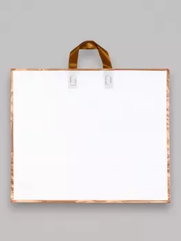 Пакет с петлевой ручкой белый 504110 см 80 мкм