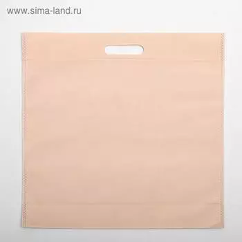 Пакет с вырубной ручкой 4240 см, бежевый