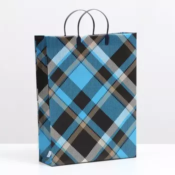 Пакет "Шотландские мотивы", мягкий пластик, 42 x 32 см, 120 мкм