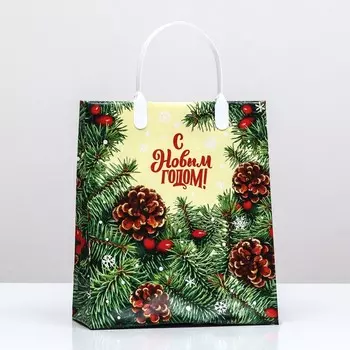 Пакет новогодний «Сибирская красавица», мягкий пластик, 22.525.5 см