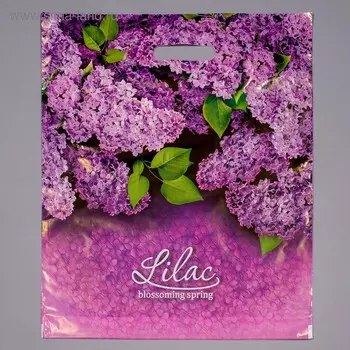 Пакет «Сирень», полиэтиленовый с вырубной ручкой, 45 мкм, 4047 см