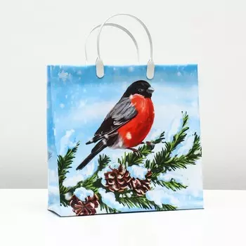 Пакет подарочный новогодний «Снегирёк», мягкий пластик, 2829 см